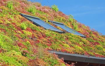 Chedburgh living roof systems